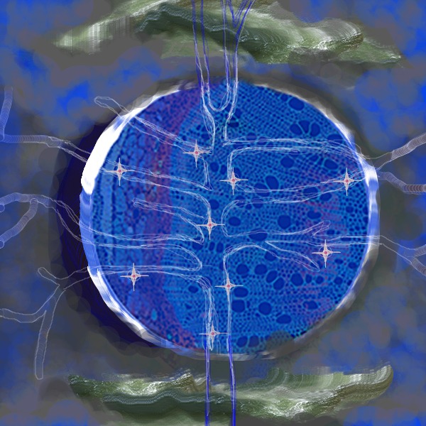 Code Painting